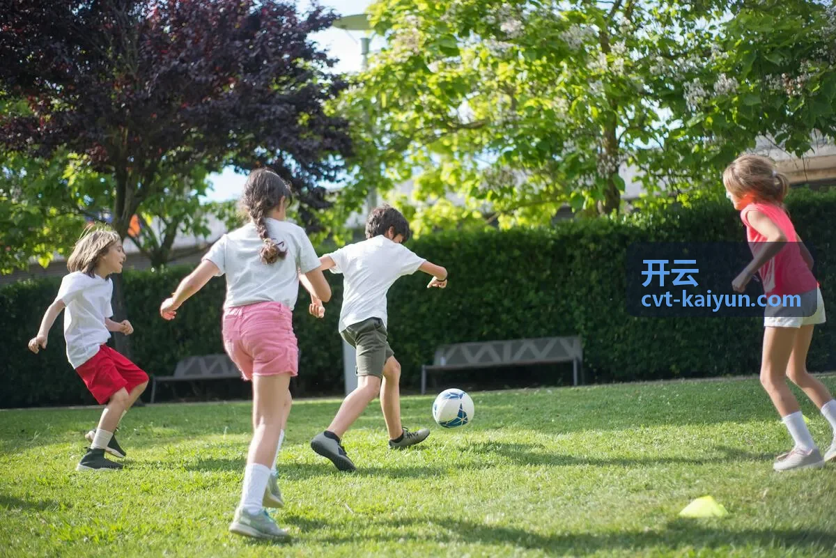开云接入测试验证方案配图
