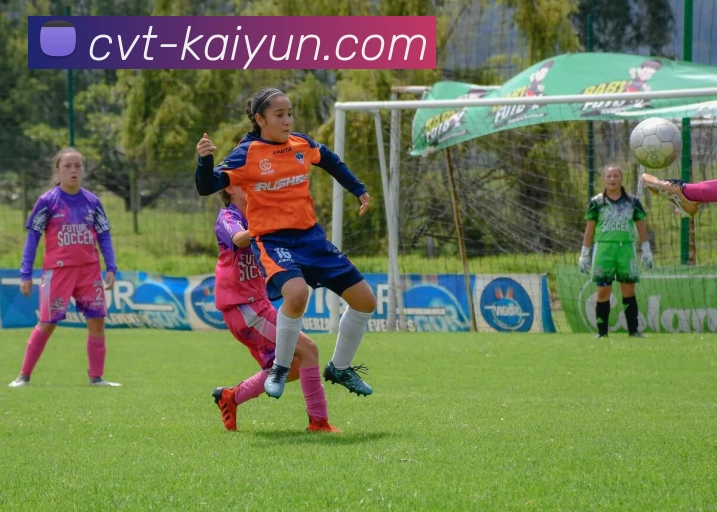 开云APP 高清赛事图